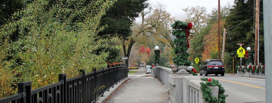 Xmas Bridge