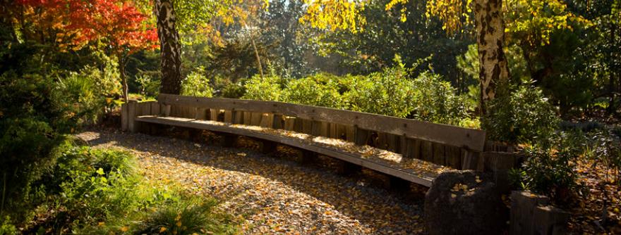Bench with Leaves