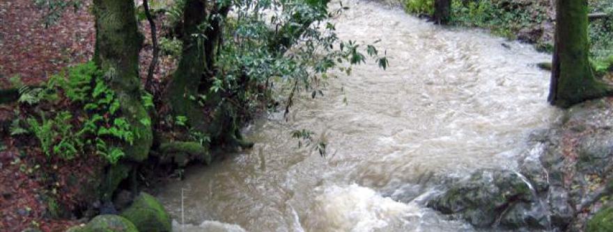 Flooding