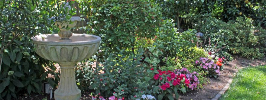 Ross Garden