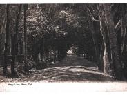View looking west on Shady Lane