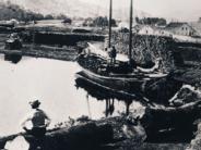 Ross Landing Schooners