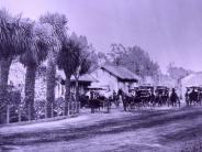 Horses and Buggies waiting for train at Ross Station