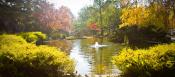 Marin Arts and Garden Center