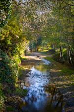Ross Creek